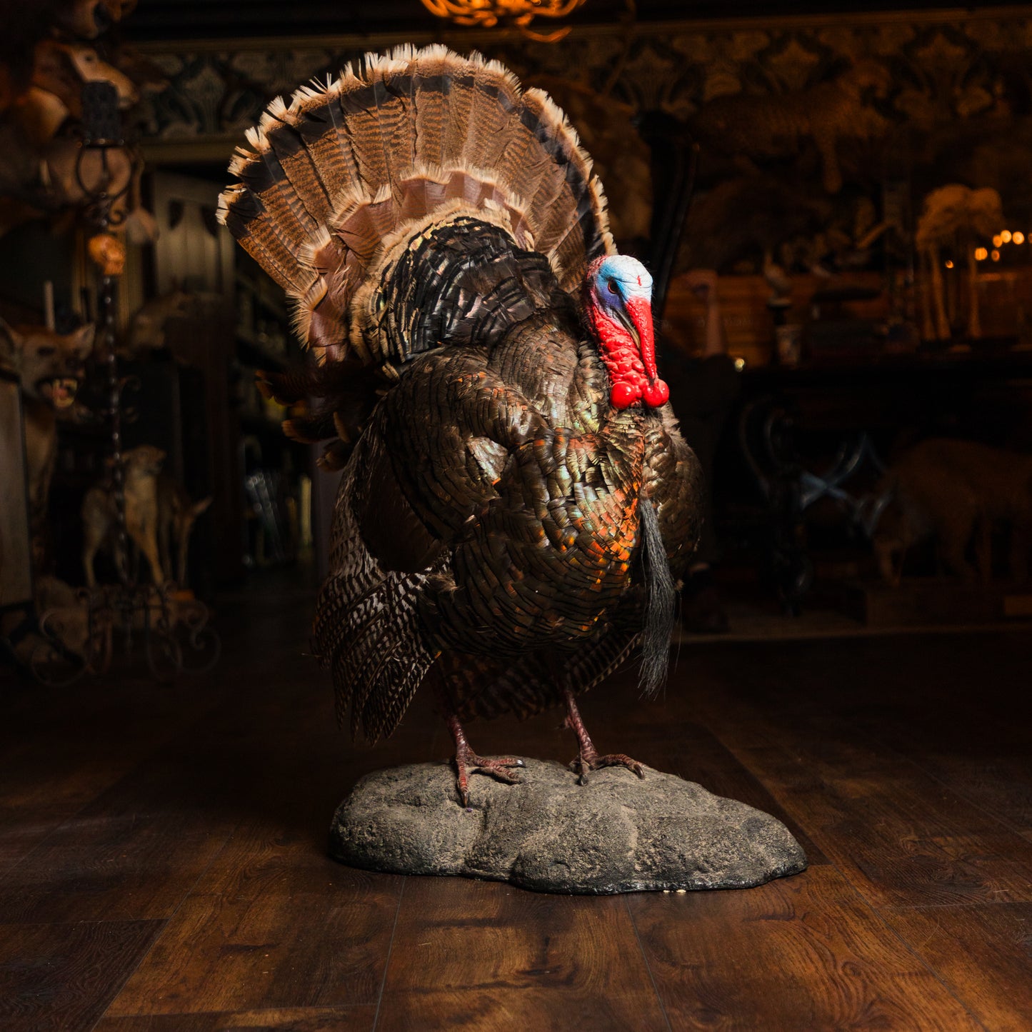 Turkey on Standing Base