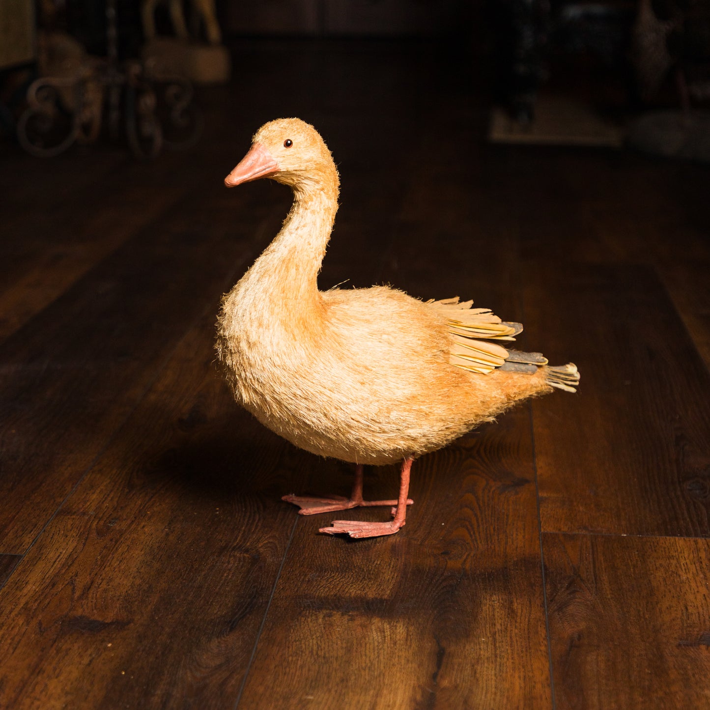 Decorative Wooden Duck