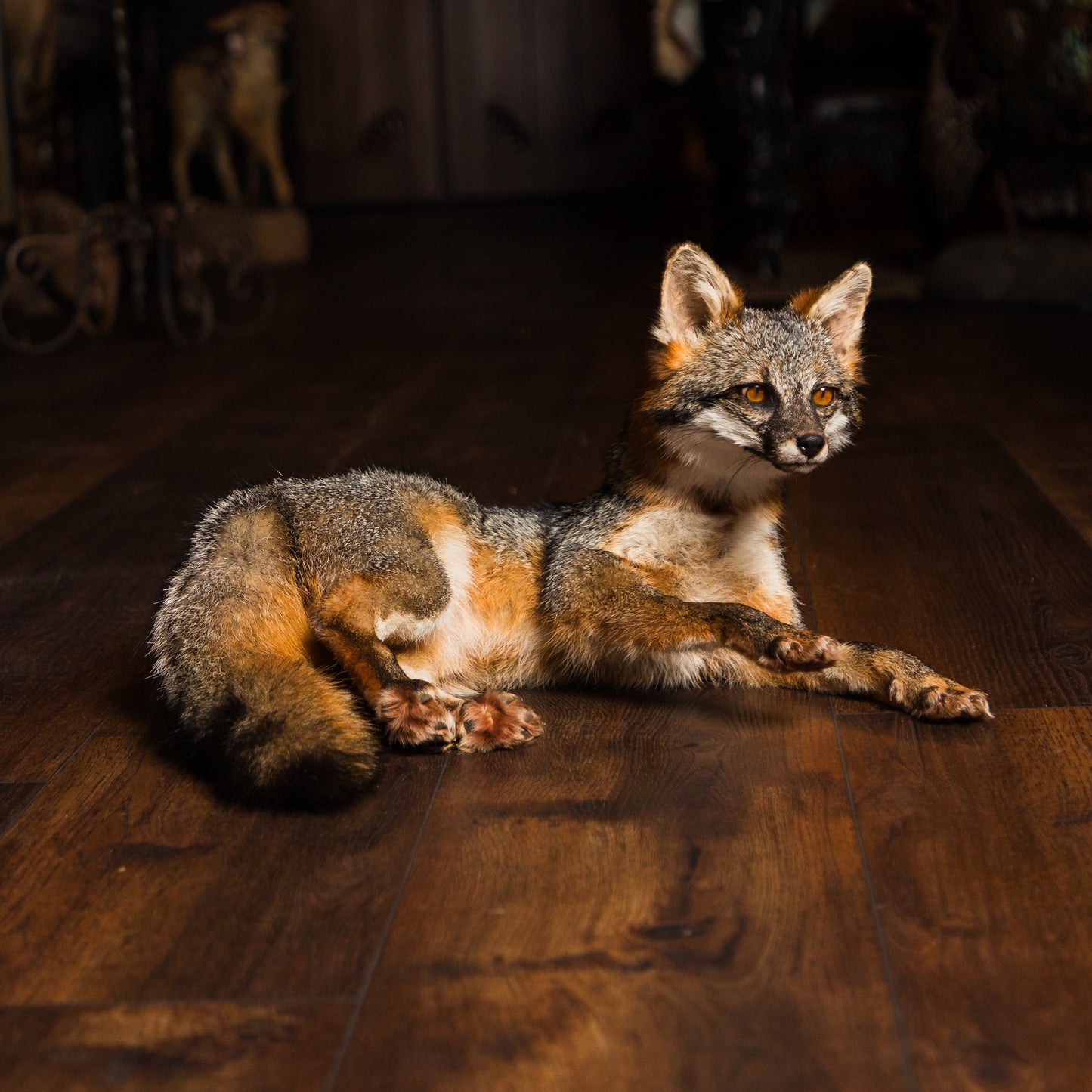 Grey Fox Soft Mount