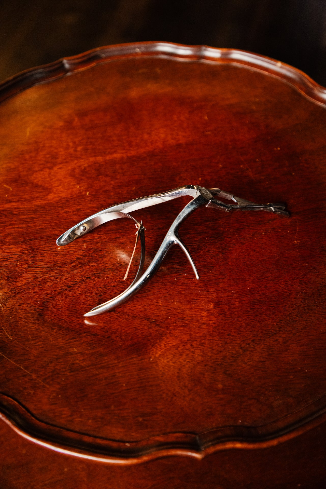 Nasal Septum Forcep
