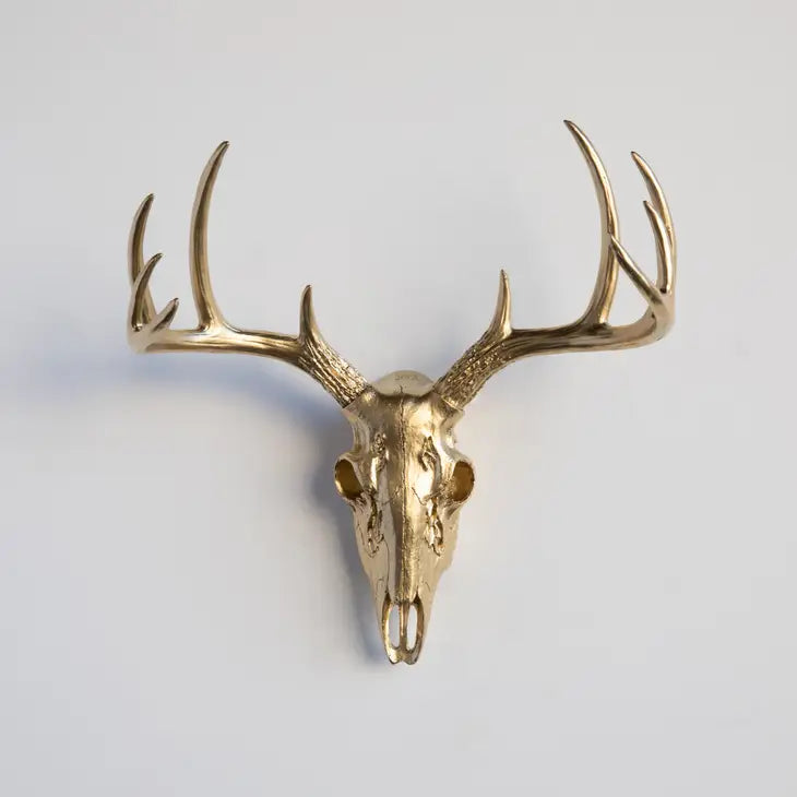 Faux Mini Buck Skull
