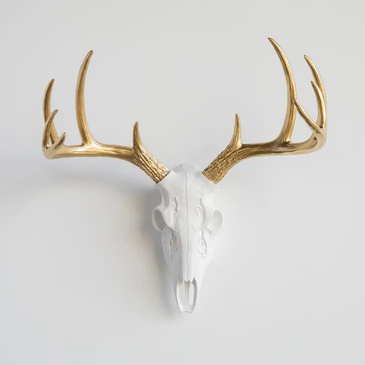 Faux Mini Buck Skull