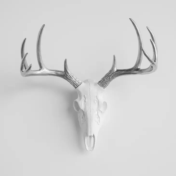 Faux Mini Buck Skull