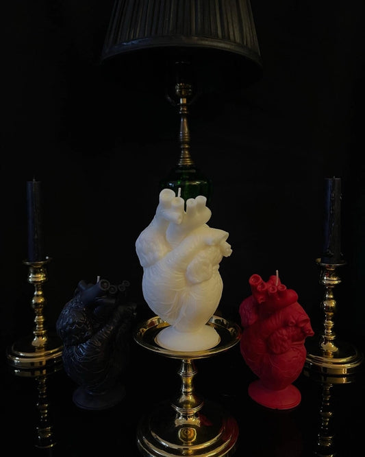 Anatomically Correct Heart Candle (Unscented)