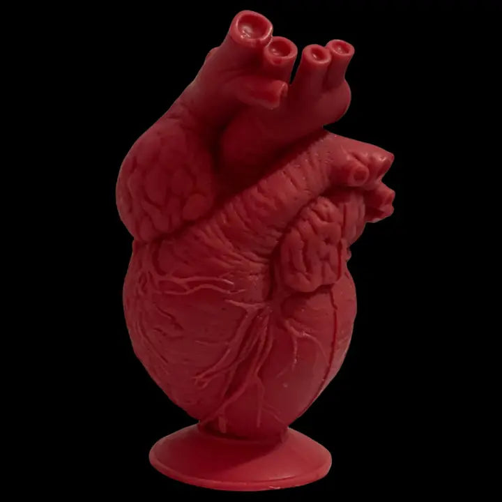 Anatomically Correct Heart Candle (Unscented)