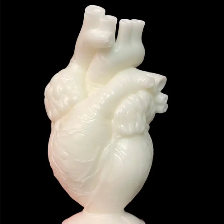 Anatomically Correct Heart Candle (Unscented)