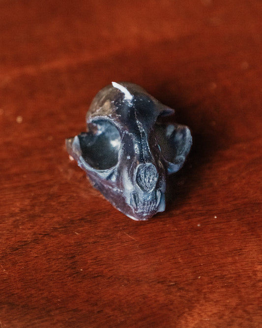 Cat Skull Scented Candle (Multiple Scents & Colours)