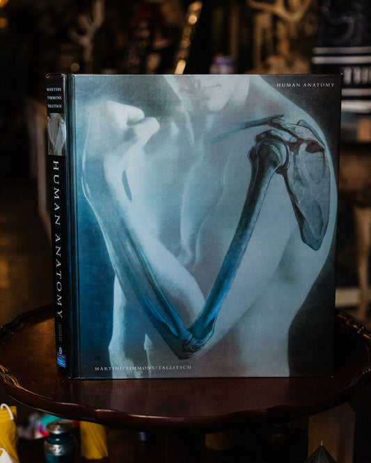Human Anatomy- Martini/Timmons/Tallitsch