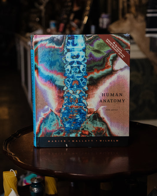 Human Anatomy 5th Edition (Hardcover)- Marieb, Mallat & Wilhelm