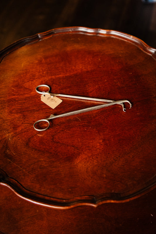 Vintage Tissue Holding Forceps