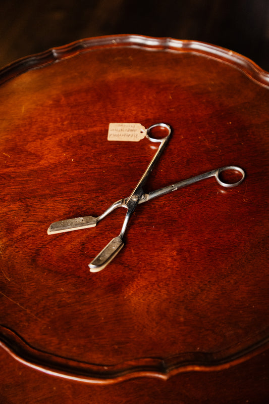 Hemorrhoid Amputation Forceps