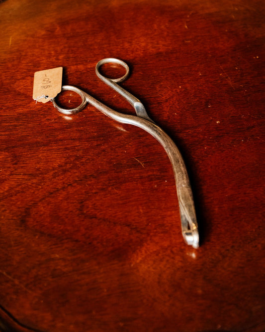 Vintage Bone Holding Forceps