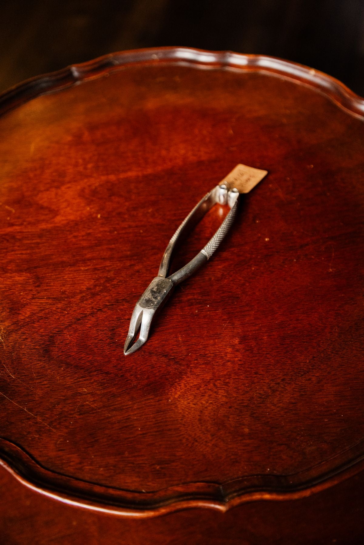Vintage Surgical Pliers