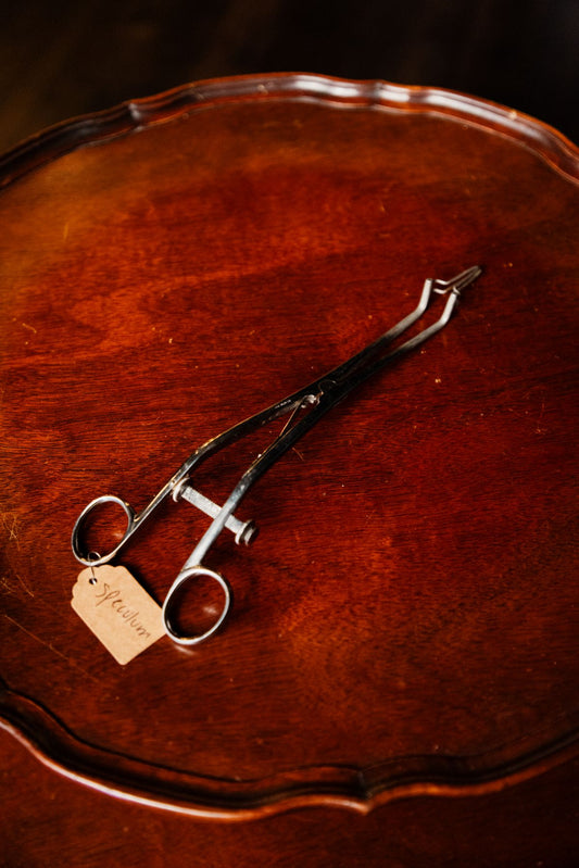 Speculum
