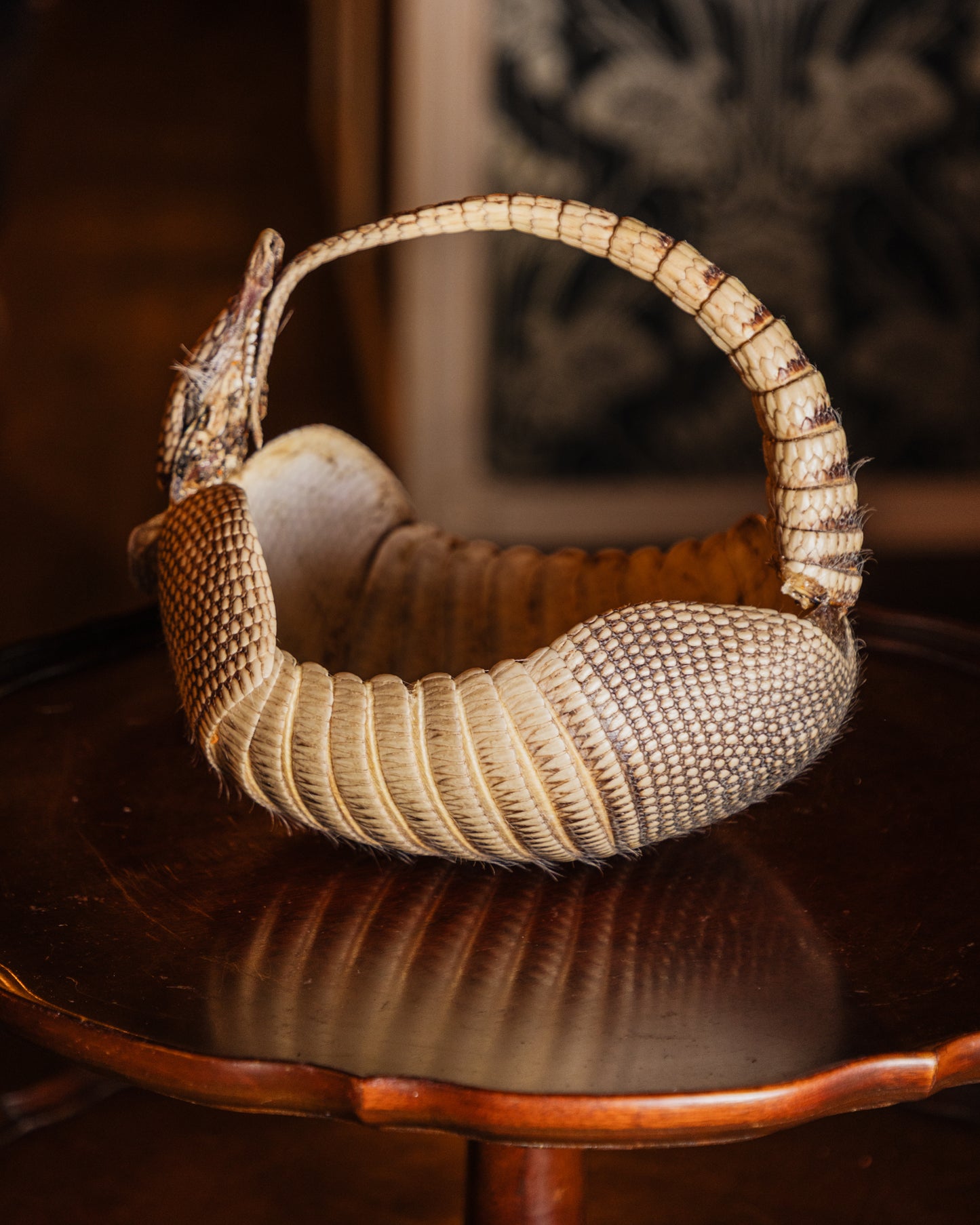 Taxidermy Armadillo Basket