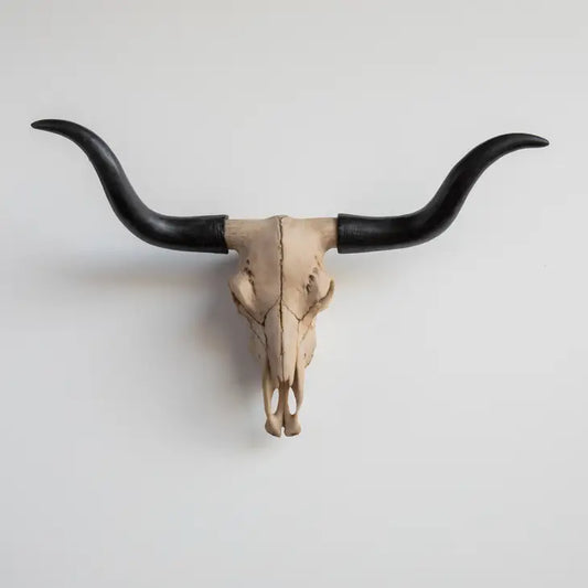 Faux Texas Longhorn Skull