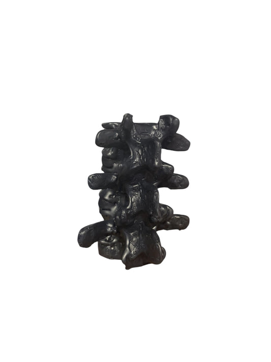 Spine Candle Short (Unscented- Black or White)