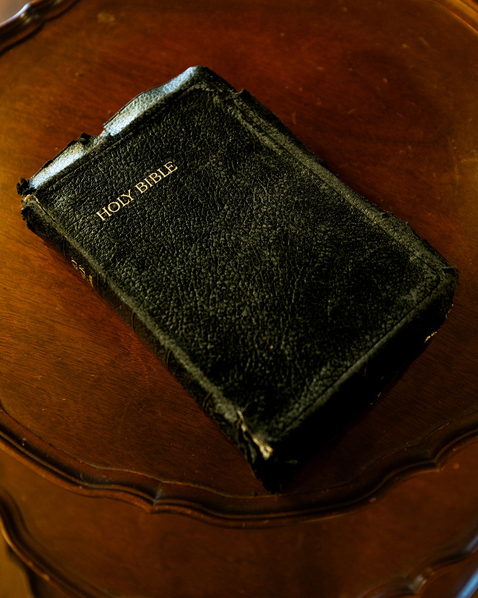 King James Black Leather Bible - Vulture Culture Oddities
